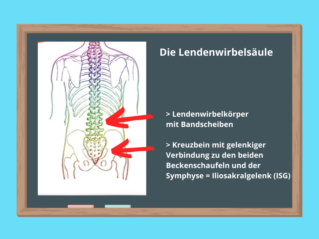 Schmerzen im unteren Rücken Ursachen und Behandlung