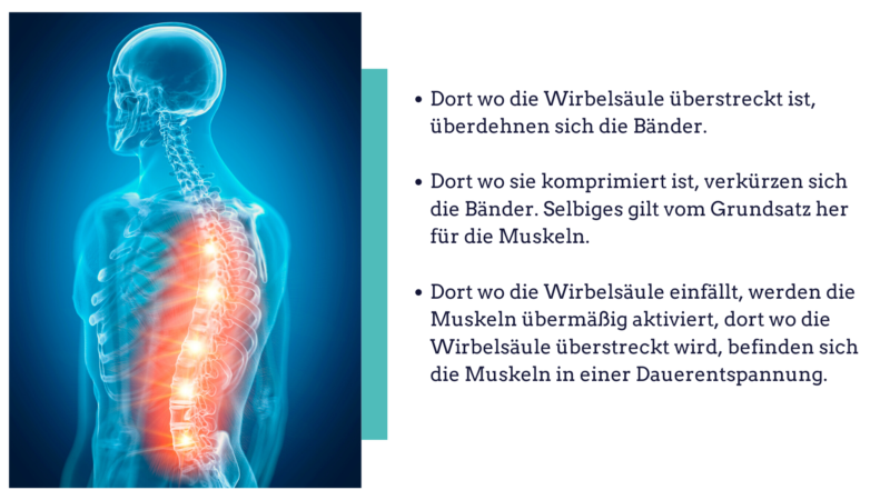 Übersicht: Schmerzentstehung